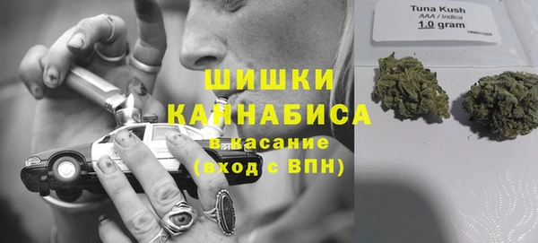 трава Беломорск