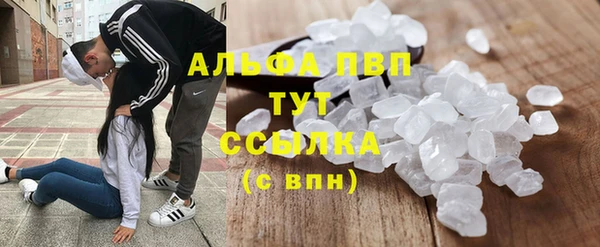 трава Беломорск