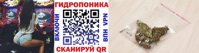 Шишки марихуана ГИДРОПОН Оха